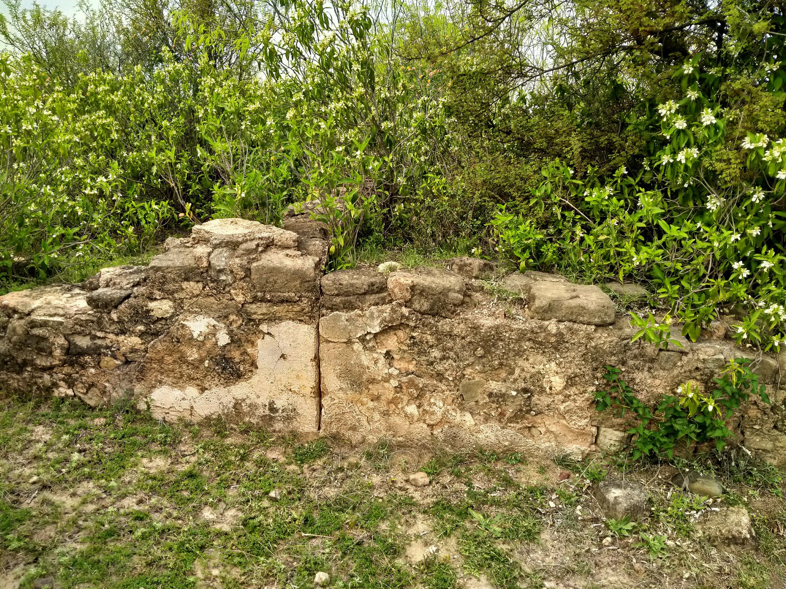 Travel Photo